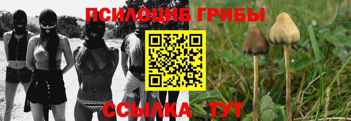 Электрогорск  Псилоцибиновые грибы прущие грибы  купить наркотик  Вход с VPN 