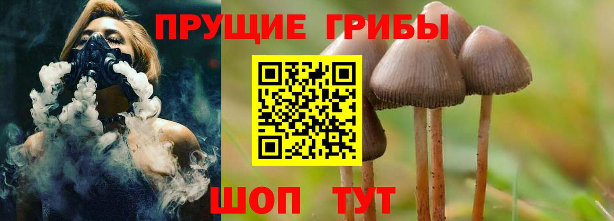 Галлюциногенные грибы Psilocybine cubensis Электрогорск